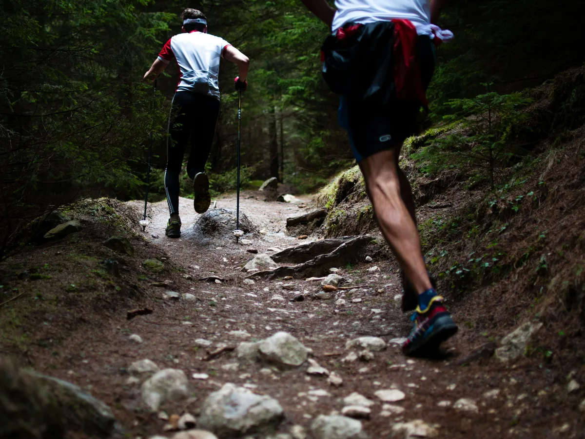 Two trail runners climbing a forest path